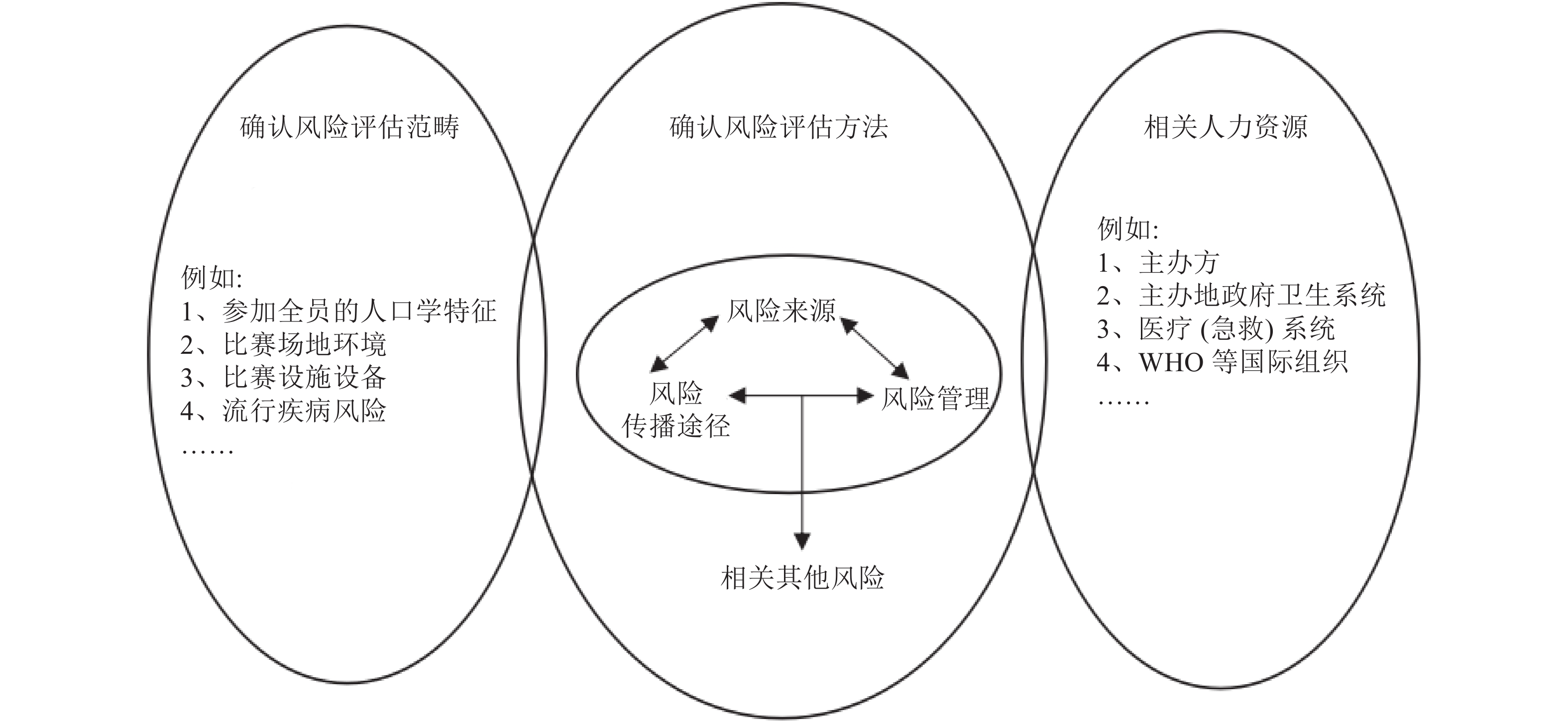 大型体育集会(赛事)前公众健康风险评估示意图