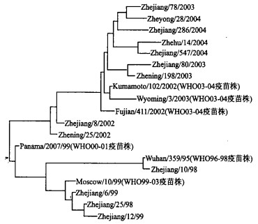 浙江省流行性感冒病毒分离株ha1基因分析[j].